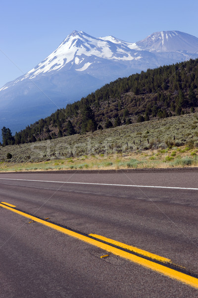 Road to Shasta Stock photo © cboswell