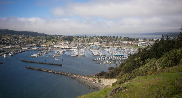 Cap Sante Marina Overlook Puget Sound Anacortes Washington Stock photo © cboswell