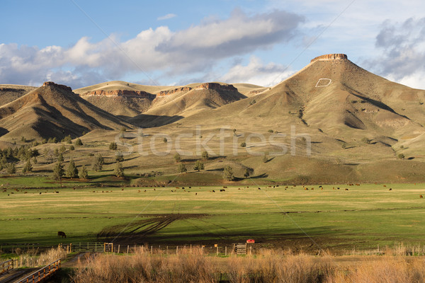 Ranch útvonal 26 felső nap kívül Stock fotó © cboswell