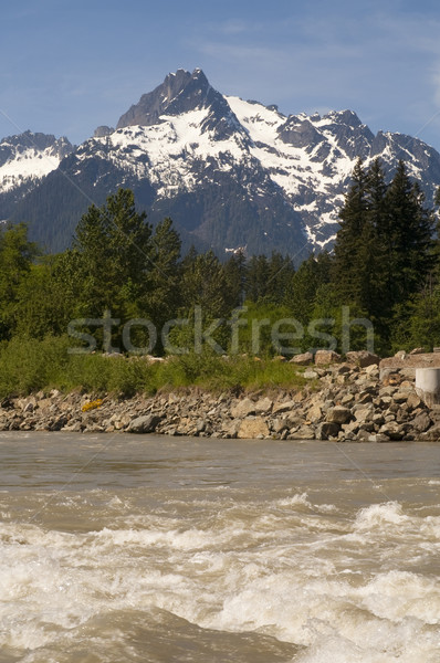 Whitehorse Mountain North Sauk River Cascade Mountains Washingto Stock photo © cboswell