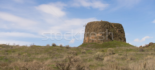 Hoed rock park rivier Oregon ontspanning Stockfoto © cboswell