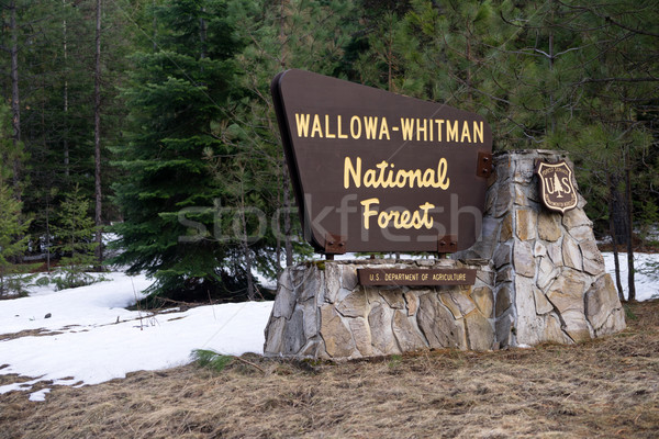 Wallowa Whitman Natinal Forest Entry Sign Boundary Oregon State  Stock photo © cboswell