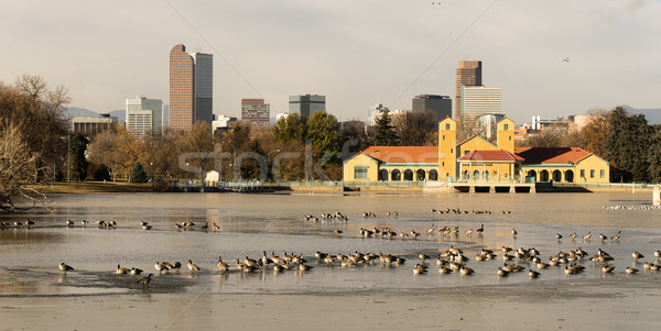 City Park Lake Denver Colorado Skyline Migrating Geese Birds Wil Stock photo © cboswell