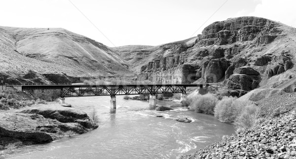 Tief Fluss Eisenbahn Brücke szenische Stock foto © cboswell