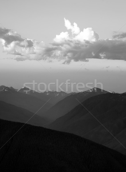 Dramatic Sky Cloudscape Over Hurricane Ridge Olympic Mountains Stock photo © cboswell