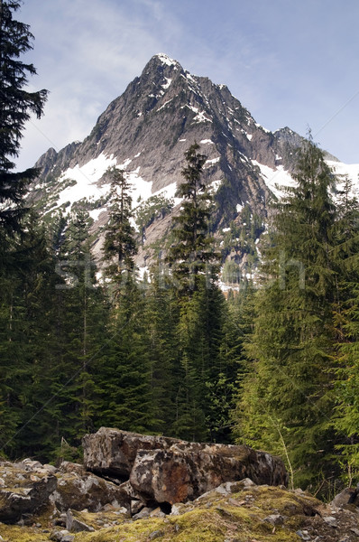 Nierówny szczyt na północ kaskada górskich Zdjęcia stock © cboswell