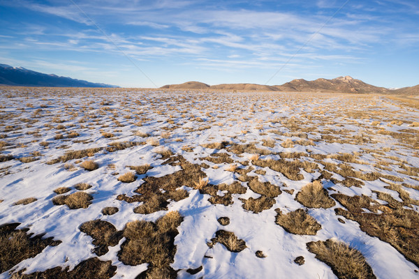 Winter Tundra Desert Landscape Great Basin Area Western USA Stock photo © cboswell