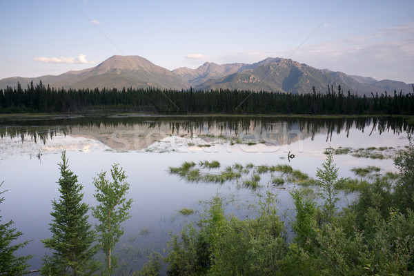 Scenic Marsh Water Panoramic Mountain Landscape Outback Alaska Stock photo © cboswell