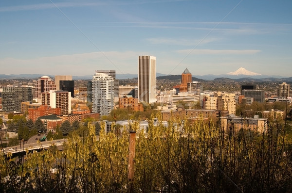 Portland Oregon Stock photo © cboswell