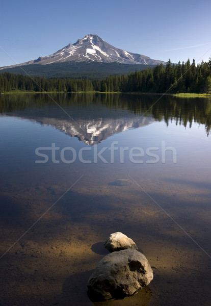 Calm Clear Water Trillium Lake Mount Hood Oregon State Stock photo © cboswell