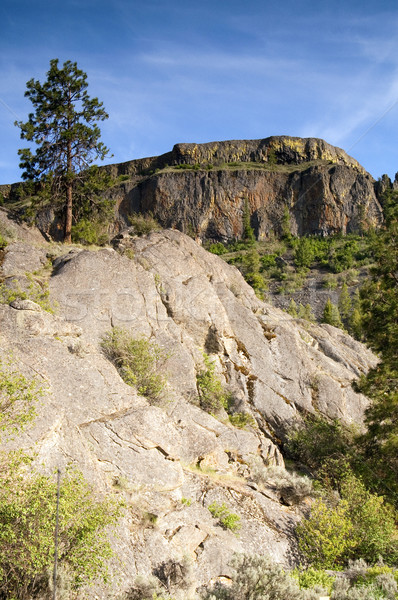 Rocky Ridge Outcroppings Near Banks Lake Washington State Stock photo © cboswell