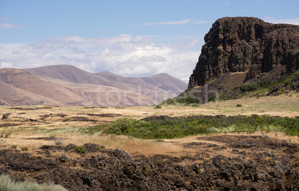 Horsethief Butte Columbia River Valley Washington State Stock photo © cboswell