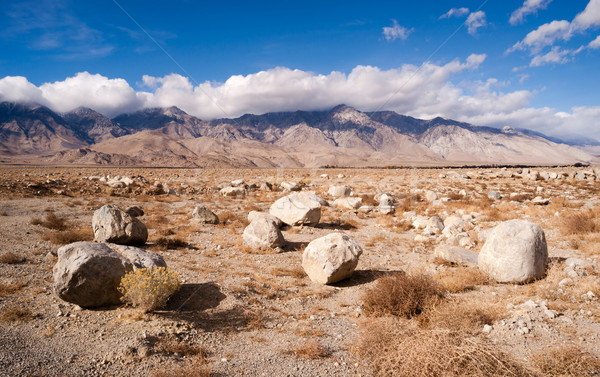 Sagebrush Boulders Owens Valley Sierra Nevada Range California  Stock photo © cboswell