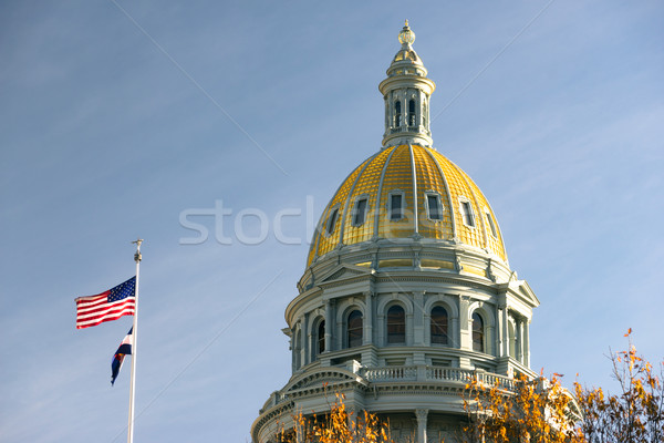 Denver Colorado Capital Building Government Dome Architecture Stock photo © cboswell