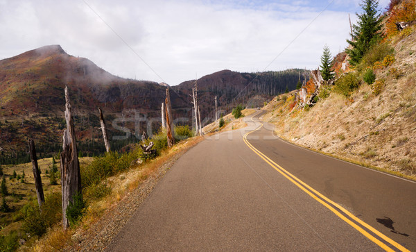 Uszkodzony krajobraz wulkan drogowego duch jezioro Zdjęcia stock © cboswell