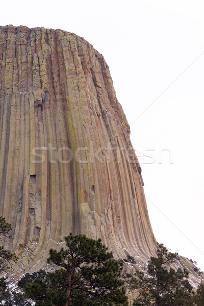 Devils Tower Wyoming Winter Snow Rock Butte Stock photo © cboswell