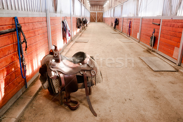 Silla de montar centro camino caballo estable Foto stock © cboswell