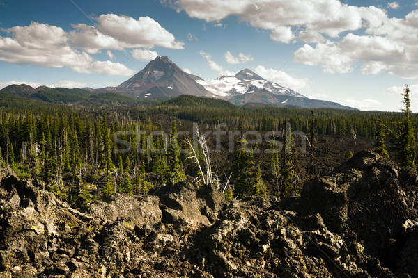 Mckenzie Pass Three Sisters Cascade Mountain Range Lava Field Stock photo © cboswell