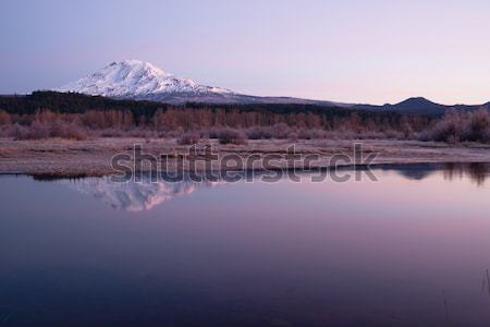 Still Morning Sunrise Trout Lake Adams Mountain Gifford Pinchot  Stock photo © cboswell