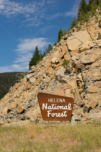 Helena National Forest Sign US Department of Agriculture Stock photo © cboswell