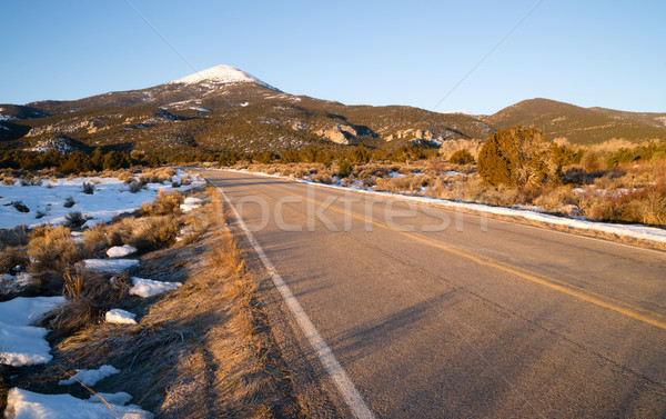 Nagyszerű park kopasz dolcsi hegy Nevada Stock fotó © cboswell