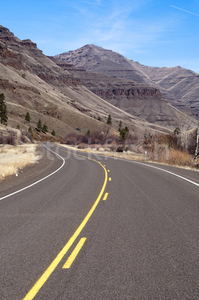 Stock photo: Lonely Two Lane Divided Highway Cuts Through Dry Mountainous Lan