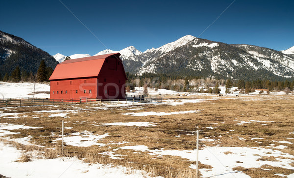 Piros csőr hegy tél erdő ranch Stock fotó © cboswell