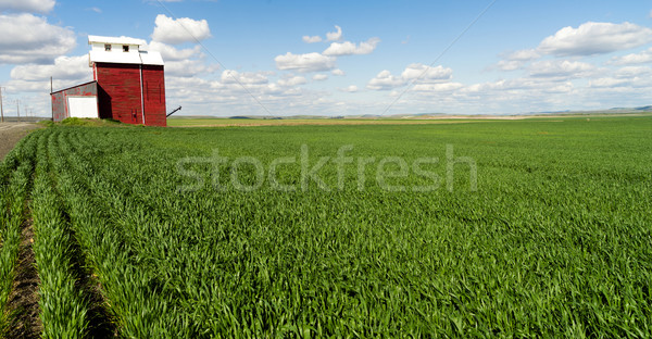 Red Grain Elevator Blue Skies Agriculture Green Crops Field Stock photo © cboswell