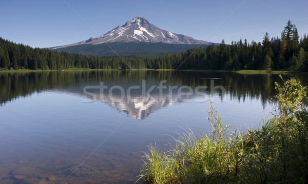 Mountain Lake Stock photo © cboswell