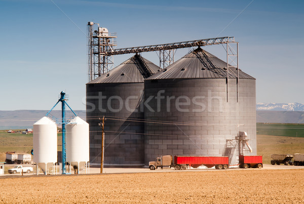 Agricultural Silo Loads Semi Truck With Farm Grown Food Grain Stock photo © cboswell