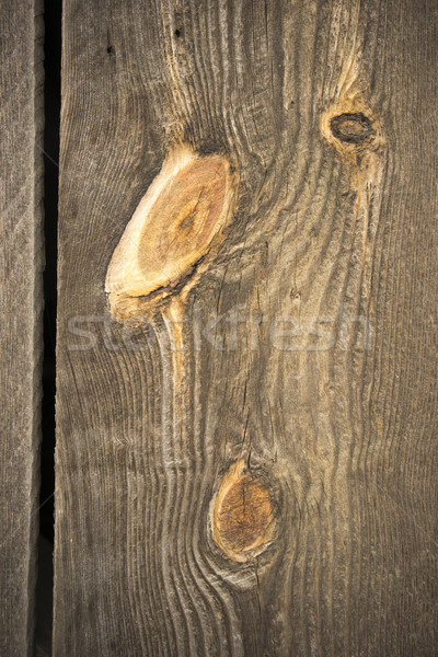 Weathered Barn Wall Wood Grain Plank Orange Knot Stock photo © cboswell