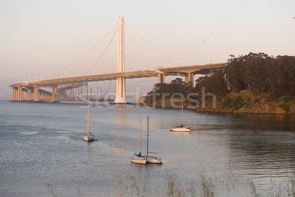 Clipper Cove Bay Bridge San Francisco Treasure Island California Stock photo © cboswell