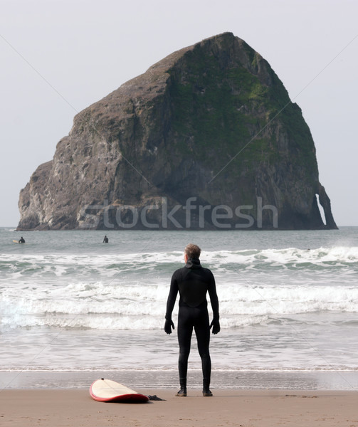 Lone Surfer Stands Looking Ocean Surf Sea Waves Surf Sport Stock photo © cboswell