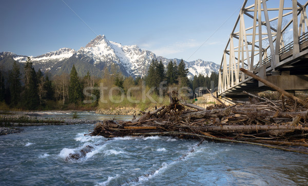 Logs jam up under the bridge on the Sauk Stock photo © cboswell