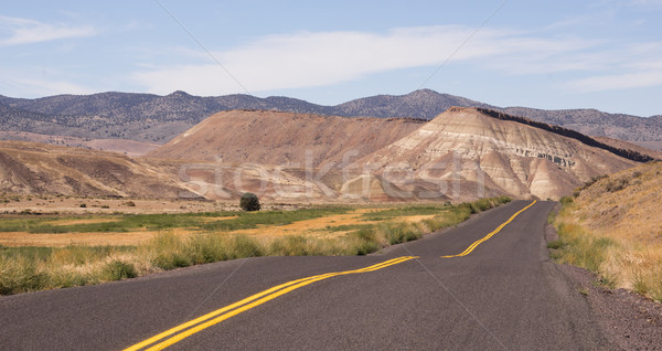 Gemalt Hügeln fossil Oregon USA nördlich Stock foto © cboswell