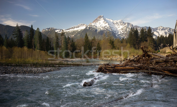 Whitehorse Mountain North Cascades Darrington WA Sauk River Stock photo © cboswell