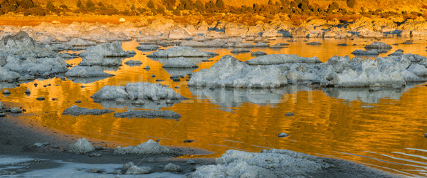 Rock Salt Tufa Formations Sunset Mono Lake California Nature Out Stock photo © cboswell
