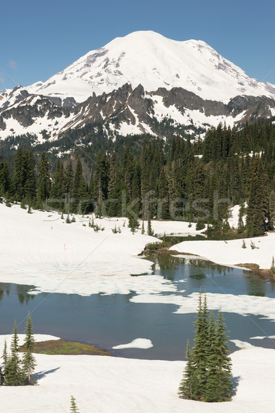 Tipsoo Lake Naches Peak Loop Mt Rainier Cascade Mountain Range Stock photo © cboswell