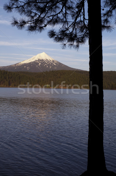 Mt Mcgloughlin Willow Lake Pine Tree Oregon Rural Country Stock photo © cboswell