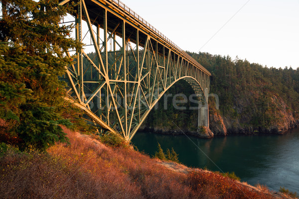 Puget Sound Deception Pass Fidalog Whidbey Islands Stock photo © cboswell