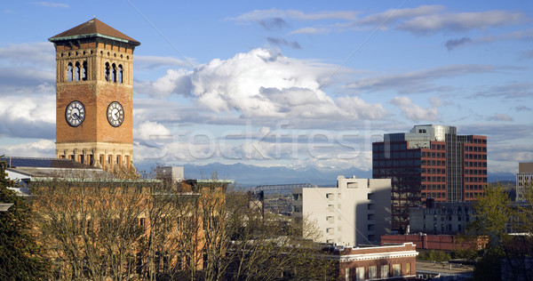 Tacoma Skyline Old City Hall Brick Building Architectural Clock  Stock photo © cboswell