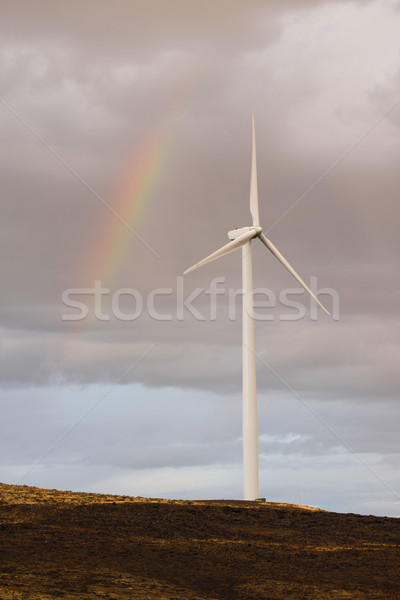 風力發電機組 綠色能源 雨 天氣 彩虹 背後 商業照片 © cboswell