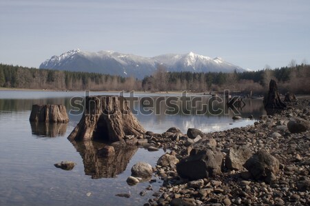 Tree Stump No Parking Sign Rattlesnake Lake North Cascade Mounta Stock photo © cboswell