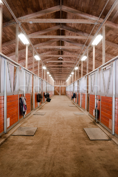 Horse Barn Animal Sport Paddock Equestrian Ranch Racing Stable Stock photo © cboswell