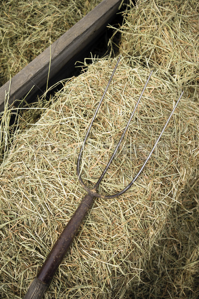 Old Wooden Farm Pitchfork Tool Implement Barn Equipment Stock photo © cboswell