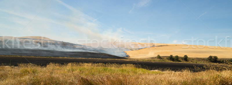 Agriculture Farming Burns Plant Stalks Harvest Fire Tractor Stock photo © cboswell