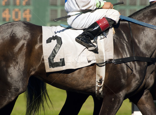Jockey aantal twee paard start poort Stockfoto © cboswell