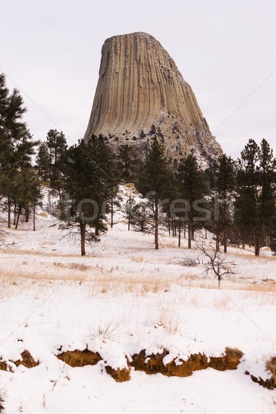 Devils Tower Wyoming Winter Snow Rock Butte  Stock photo © cboswell