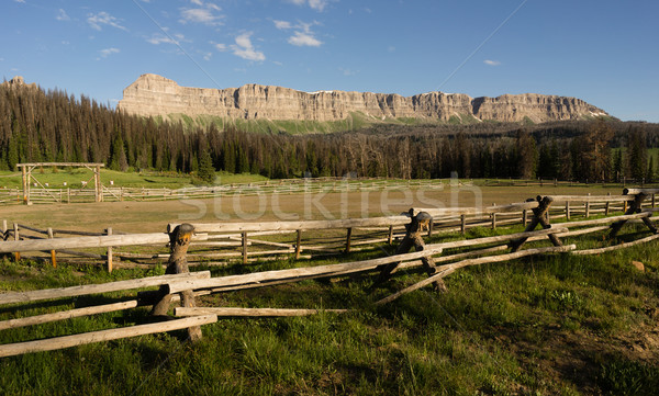 Brooks Lake Breccia Cliffs Mountain Range Shoshone National Fore Stock photo © cboswell