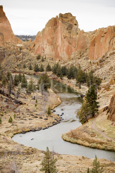 Heldere dag ruig Oregon landschap rivier Stockfoto © cboswell